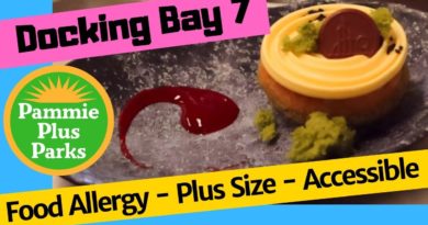Docking Bay 7 Review | Food Allergy, Plus Size & Accessible | Disney Dining