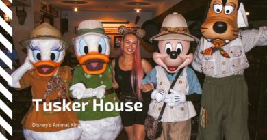 Tusker House At Disney's Animal Kingdom!