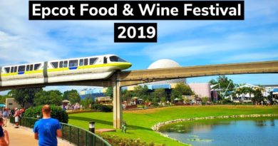 Epcot Food & Wine Festival - Jammin' Chefs - Anna & Elsa
