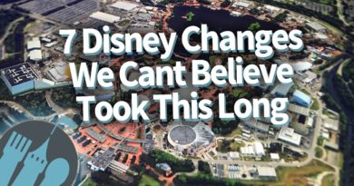 7 Disney World Changes We Cant Believe Took This Long!