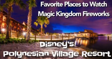 Best Place to watch Magic Kingdom Fireworks- Disney's Polynesian Resort