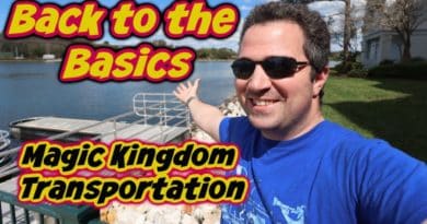 Back to the Basics - Magic Kingdom Transportation