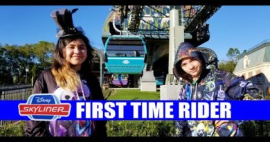 Disney Skyliner First Time Rider Hollywood Studios - Epcot - Caribbean Beach - POP and ART
