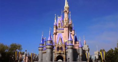 Top Tips for Magic Kingdom 2021 Back to Basics - Beyond the Kingdoms